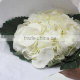 Wide Varieties Best Selling Fresh Hydrangea Flower thumbnail-3