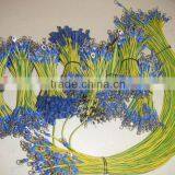 Wring Harness for Motorcycles thumbnail-1