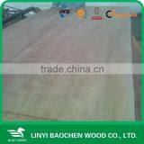 Natural Gurjan Veneer for India Market 0.3mm & 0.5mm thumbnail-6