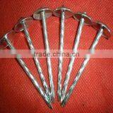 2"x9bwg Galvanized Roofing Nails With Umbrella Head thumbnail-1