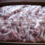 Grade A Halal Brazilian Whole Frozen Chicken, Chicken Parts, Brazilian Origin thumbnail-1