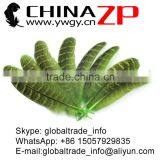 ZPDECOR Feather Dyed Green Hen Ringneck Pheasant Wing Quills Feather thumbnail-2