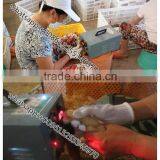 OUCHEN Chicken Debeaking Machine Poultry Debeaker Manual for Sale thumbnail-6