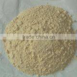A Grade Dehydrated Garlic Powder Natural Spices From Factory Directly thumbnail-2