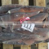 Big Szie Frozen Argentine Illex Squid 600g +