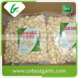 Vacuum Packed Fresh Peeled Garlic thumbnail-1