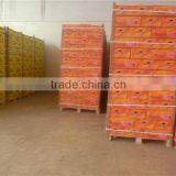 Fresh Sweet Potato Yellow Potato thumbnail-4