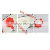 Corn Planter Corn Fertilize Machine With Double Tube/ Corn Planter and Fertilize Machine