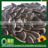 Good Quality Hulled Sunflower Seeds Kernels