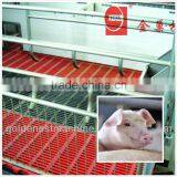 Plastic Slatted Flooring for Poultry Broiler/breeders and Pig/goat thumbnail-2