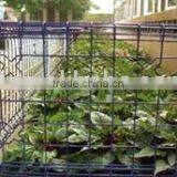 Good Quality Welded Wire Mesh Fence(anlida Brand) thumbnail-1