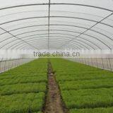 Greenhouse Tent thumbnail-1