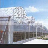 Economical Multi-span Greenhouse For Agriculture Polycarbonate Sheet thumbnail-6
