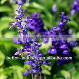 150L Gas Heating-type Sage Essential Oil Steam Distillation on Sale thumbnail-1