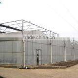 Low Cost Plastic Film Greenhouse For Vegetables & Agriculture Greenhouse thumbnail-4