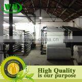 High Density Polyethylene PE Woven Fabric for Lamination or Printing thumbnail-4