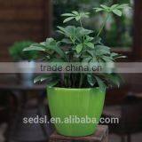 Small Decorative Plastic Plant Pots Indoor, Flower Pots thumbnail-3