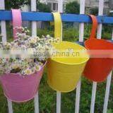 Hanging Multi-color Flower Pot/Eco-friendly Flower Pot/Metal Small Flower Pails/Zinc Flower Planter/Metal Flower Pot/Can thumbnail-1
