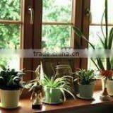 Solid Wood Furniture Parts thumbnail-1