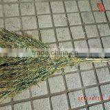 Small Bamboo Broom thumbnail-1