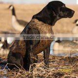 Neoprene Dog Coat thumbnail-1