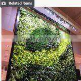 Outdoor Green Wall Long Lasting Green Facades Artificial Green Wall thumbnail-6