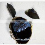 Korean Hot Sale Solo Black Garlic in Selling thumbnail-2