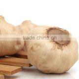 Superior Quality Good Price China Black Garlic thumbnail-5