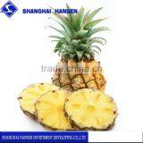 Fresh Pineapple Import Agency China Trade Agent Fresh Fruit