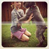 Hot Stripe Cotton Shorts Girls Baby Wholesale Double Ruffle Cotton Shorts thumbnail-1