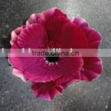 3.5"poppy flower