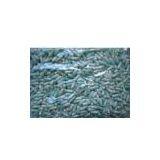 Hard Gelatin Capsule thumbnail-1