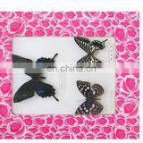 Wall Pedant Mural Butterfly Frame for Gifts thumbnail-3