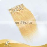 High Quality Wholesale 100% Remy Hair, Clip In Hair Extension