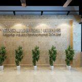 Tungwille Industry Development Co.Ltd company overview - view 1 thumbnail