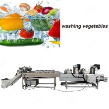 Industrial Vegetable Washer/Fruit And Vegetable Washer Line