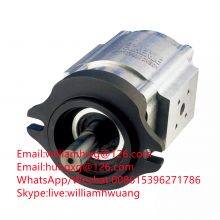 Eckerle Hydraulic Pump EIPS2-022-LD34 EIPS2-019-LD34 Gear Pump 3781060 thumbnail-1