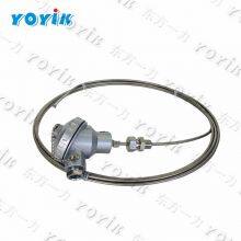 China Supplier Thermocouple WRNK2-131M Power Plant Spare Parts