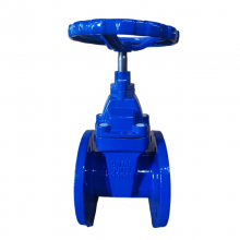 Hot Sale BS Standard Soft Seat Cast Iron Gate Valve Water Gate Valve Lighter Type Resilient Seat Gate Valve for Water Pipe thumbnail-1