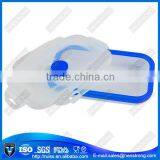 Popular and Good Tightness Transparent Silicone Picnic Lunch Box Storage Box thumbnail-6