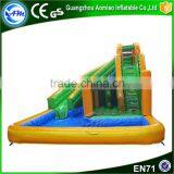 Hot in Summer Funny Giant Inflatable Pool Slide for Adult Supplier's Choice thumbnail-1