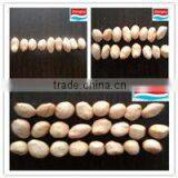 Chinese Peanuts