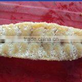 Sea Cucumber thumbnail-1