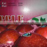 Granny Smith Apple Red Delicious Apple thumbnail-1