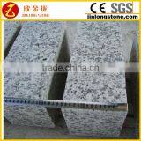 Granite Tiger Skin White Paver