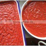 Frozen Tomato Paste 3000g