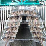 the Best Selling Products! Quail Cages and Quail Farm Equipment thumbnail-1