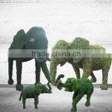 Tall Artificial Grass Elephant Grass Topiary