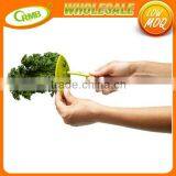 New Arrival Kitchen Accessories Gadgets Cooking Tools Green Onion Chopper Slicer Garlic Coriander Parsley Cutter thumbnail-2