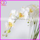Wholesale Real Touch High Quality White Orchid Plants,silk Orchid Flowers thumbnail-3